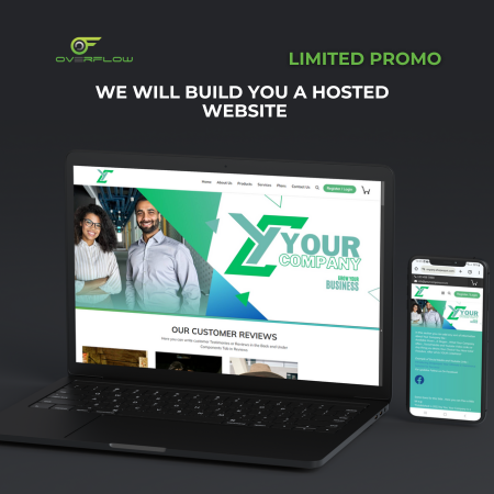Hosted Website Promo