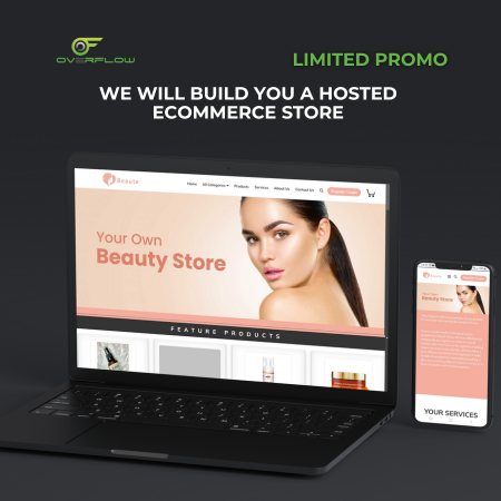 Hosted E-Commerce Store Promo